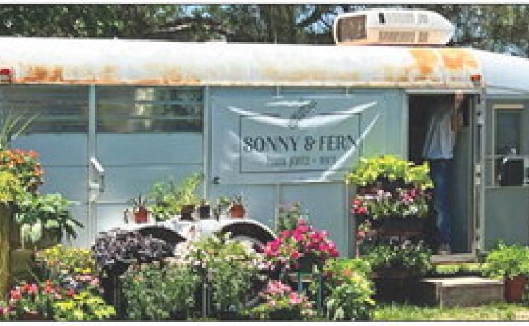 SPOTLIGHT ON HOTEL TURKEY HAND PICKED