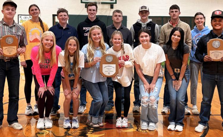 Guthrie sweeps district tennis