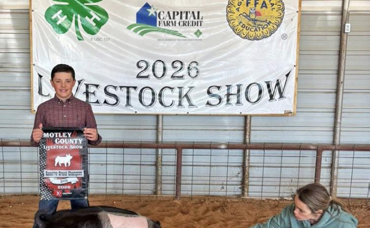 STOCK SHOW SEASON