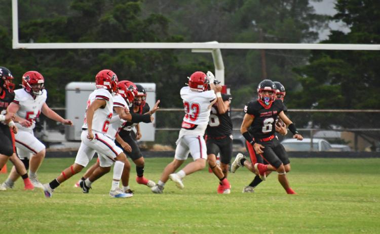 #5 Matadors tame Roby Lions
