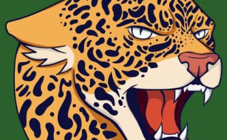 Lady Jags fall to Sands in area round