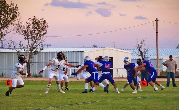 SPOTLIGHT ON VALLEY HOMECOMING