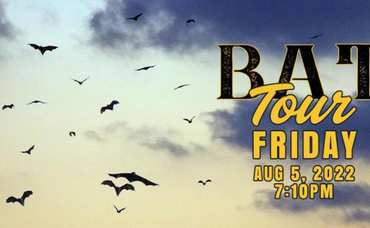 CCSP to host ‘Bat Tour’ Friday night