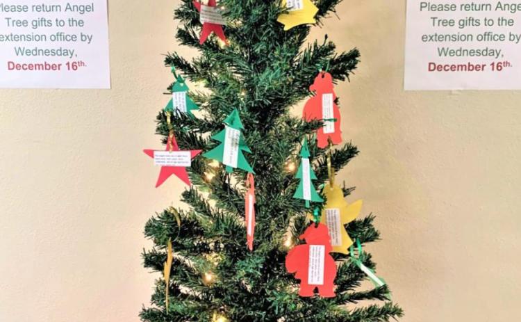 ANGEL TREE