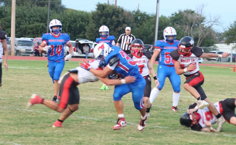 Matadors tame Mustangs