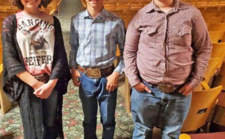 Motley Co. 4-H teams win honors at District 3 Contest