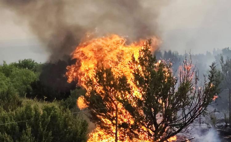 FIGHTING FIRES