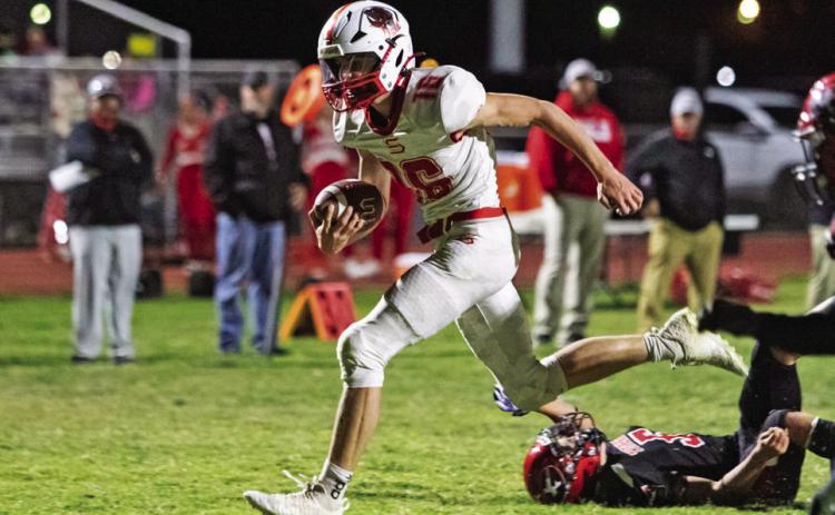 Owls fly past Tigers