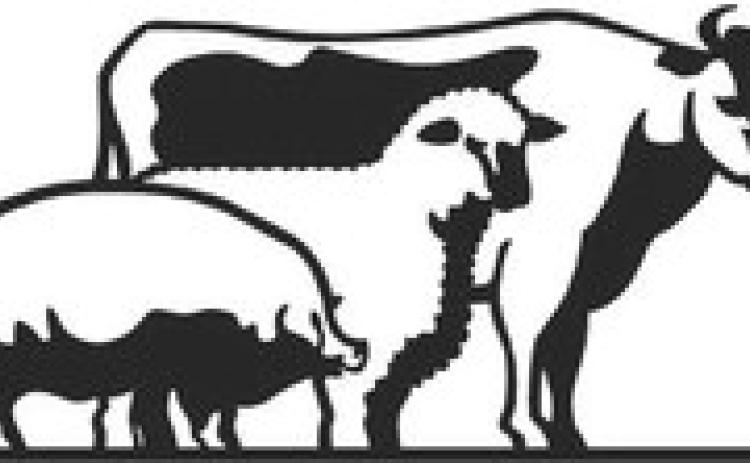Briscoe Livestock Show slated for Jan. 13