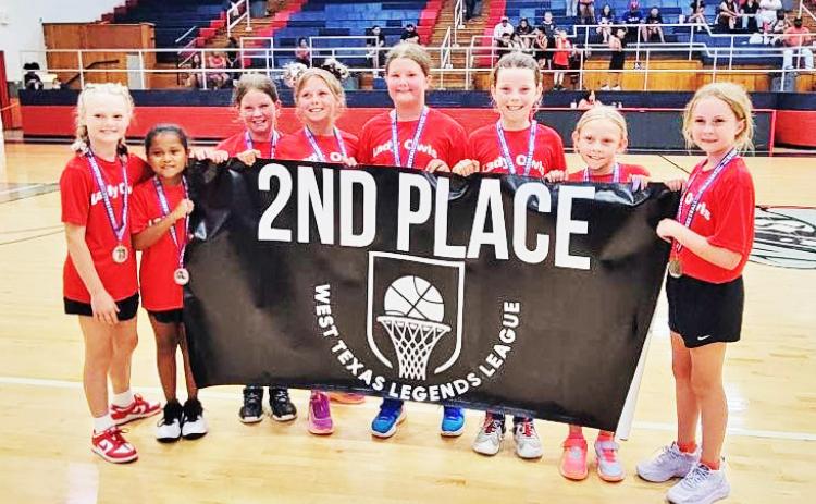 Congratulations go to theWestTexas Little League's 10 &amp; under Lady Owls team, who finished in 2nd place in the WTLL summer league. | COURTESY PHOTO
