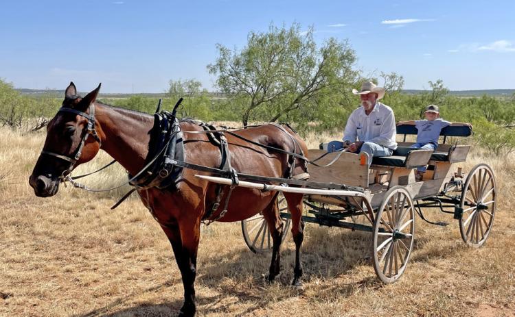 WAIT FOR THE WAGON Jimbo Humphreys of Dickens, Texas, recipient of the 2023 Ranching Heritage Association Working Cowboy Award, has mastered almost every facet of cowboy life. The award is given annually by the Ranching Heritage Association, a nationwide non-profit organization supporting the programs of the National Ranching Heritage Center. The award will be presented Nov. 3 in Lubbock. | THE TEXAS SPUR