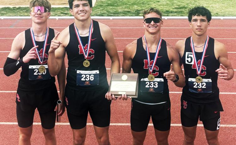 STATE QUALIFIERS