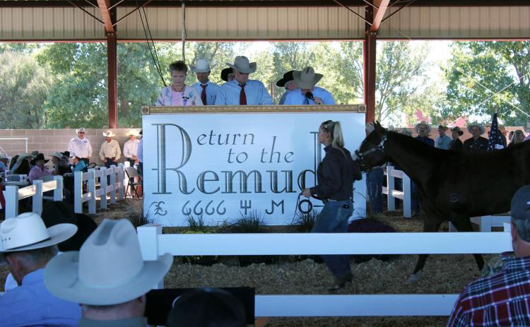 25th ANNUAL Marking its silver anniversary, this year’s Return to the Remuda sale promises to feature an exceptional selection of ranch horses from renowned breeders. Approximately 180 horses will be offered to the public from the legendary ranches of Beggs Cattle Company, Four Sixes Ranch, Tongue River Ranch, Pitchfork Land, and Cattle Company, King Ranch and Wagonhound Land &amp; Livestock. The demonstration will be on September 27, and the sale will follow on September 28. | COURTESY PHOTO