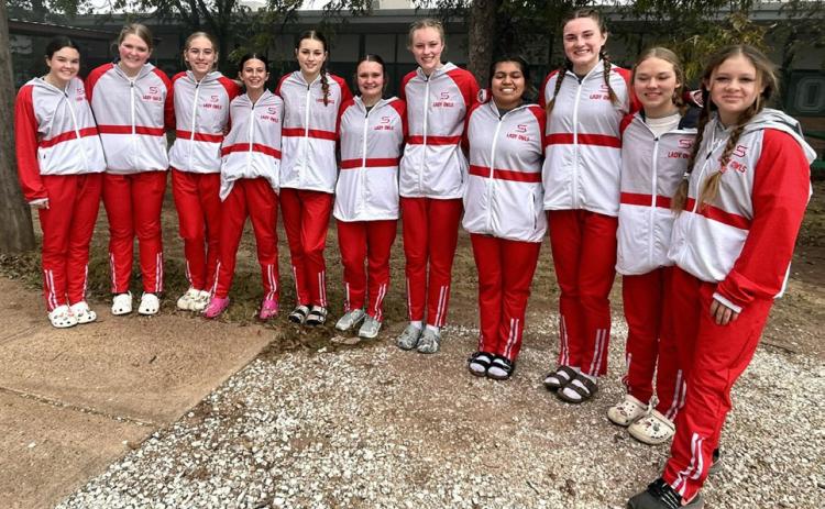 LADY OWLS