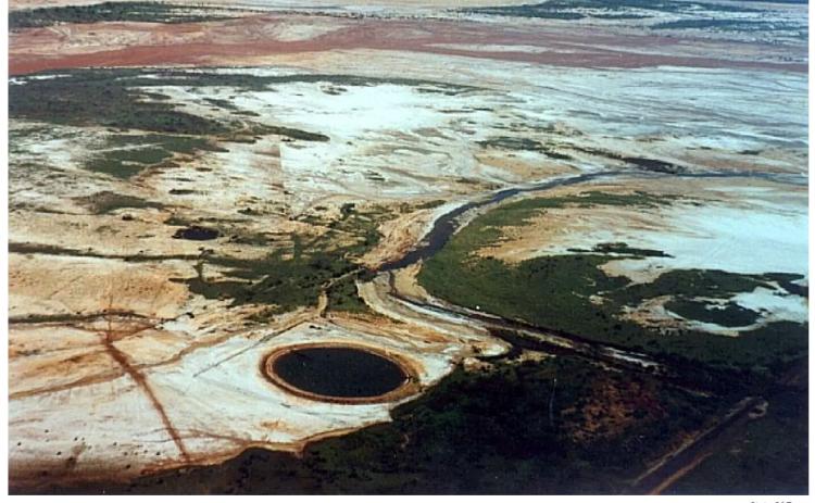 Turkey’s Johnson recalls dive into depths of Estelline Salt Springs