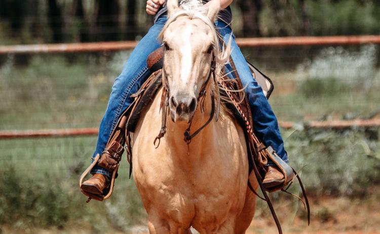 2026 RODEO QUEEN CANDIDATE