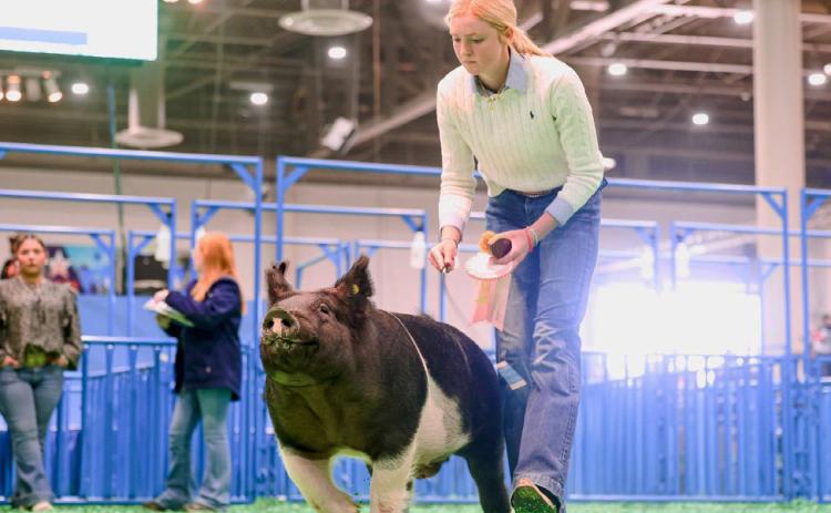 Valley’s Allie Pigg finished in 4th place with her HeavyWeight Cross at the Houston Livestock Show and Rodeo. | COURTESY PHOTO