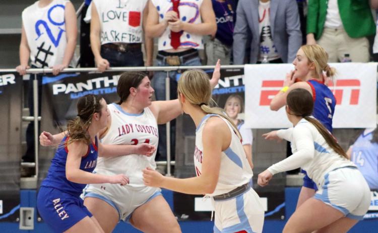 VALLEY FALLS TheValley Lady Patriots girls varsity basketball team took a tough loss last week, falling to the Borden County Lady Coyotes 45-37 in the Area playoff, bringing their season to a close. | SHADI BUCHANAN