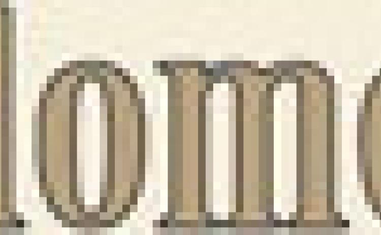 Alt Text for Image