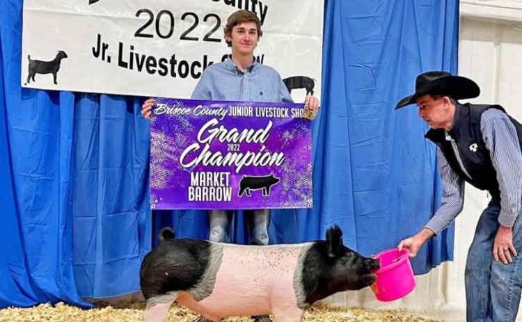 SPOTLIGHT ON AREA LIVESTOCK SHOWS