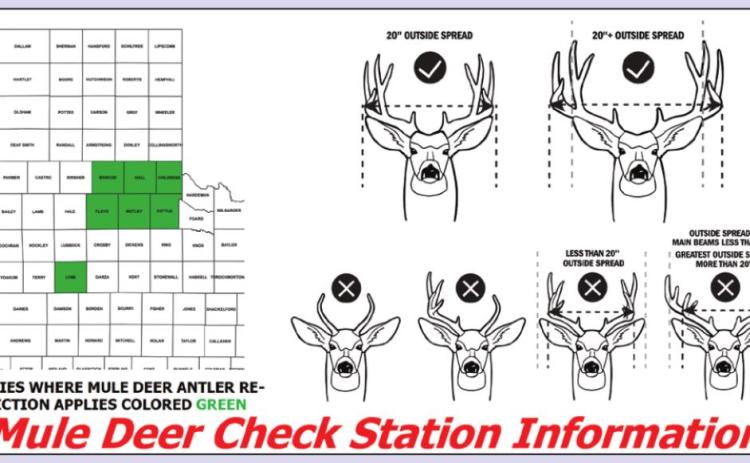 Hunters encouraged to bring their deer to check stations