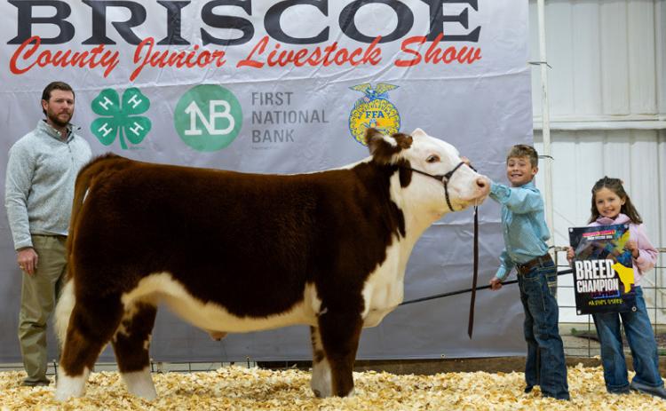 MARKET STEER BREED CHAMPION BARRETT BROCK