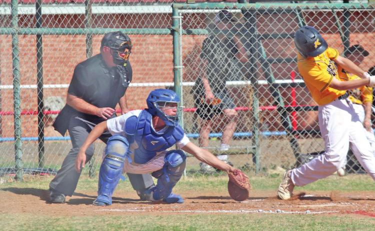 SPOTLIGHT ON VALLEY BASEBALL