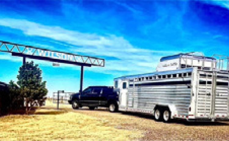 • 1st Place, Wilson Cattle