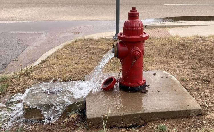 In recent weeks, the City of Turkey has had issues with its water tower and water lines. But perhaps, a solution may be coming soon. | COURTESY PHOTO