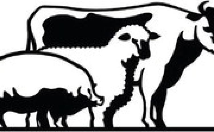 Briscoe, Cottle Livestock Shows slated for this weekend