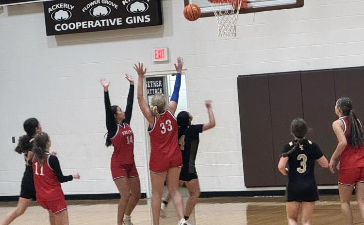 LADY PATRIOTS