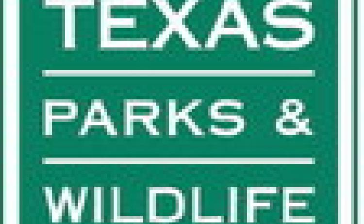 Spring Break at Caprock Canyons State Park