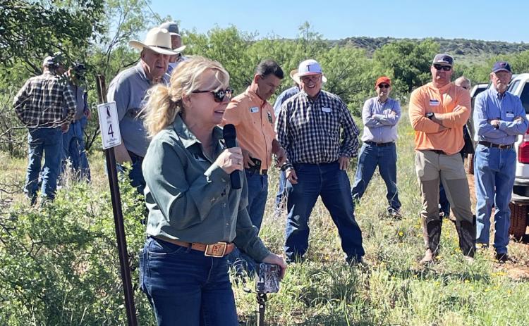 QUAIL DAY was held last May at the Rolling Plains Quail Research Foundation in Fisher County. Wildlife biologist Dana Little (front) and other experts led field training in improving quail habitat, controlling predators, and other factors to improve populations. | THE CAPROCK COURIER