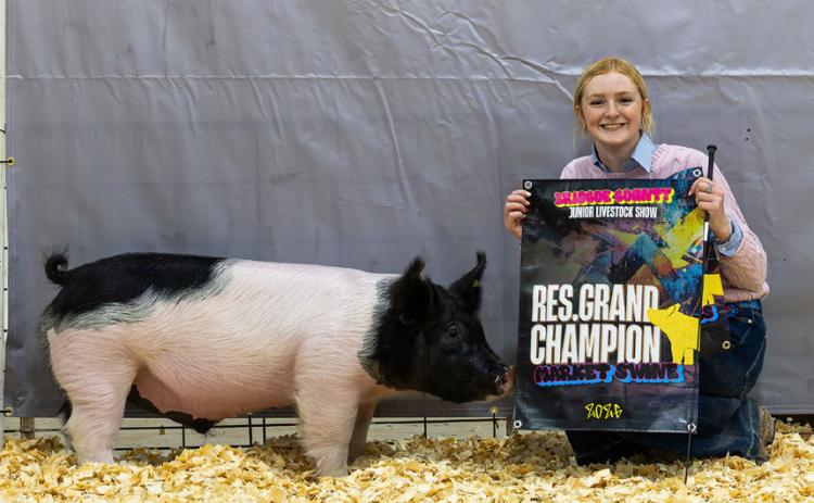 MARKET SWINE RESERVE GRAND CHAMPION ALLIE PIGG