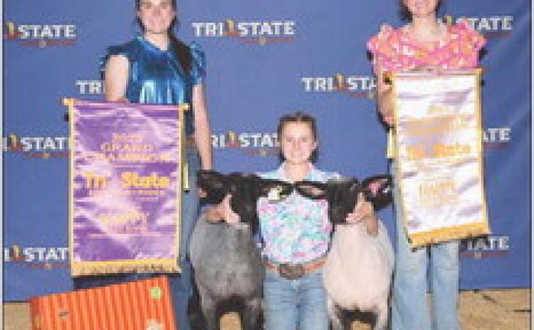 FRANCIS WINNERS At the Tri-State Fair Lamb show in Amarillo last week, the Francis sisters of Silverton fared well with their lambs. Laney Francis had the Grand and Reserve Champions, while Maddie Francis had 1st and 2nd MediumWool and Brenna Francis had the Reserve Champion, heavyweight medium wool division, and 1st and 3rd place medium wool. | COURTESY PHOTO