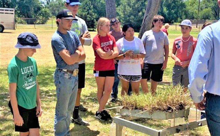 SPOTLIGHT ON 10-COUNTY 4-H CAMP