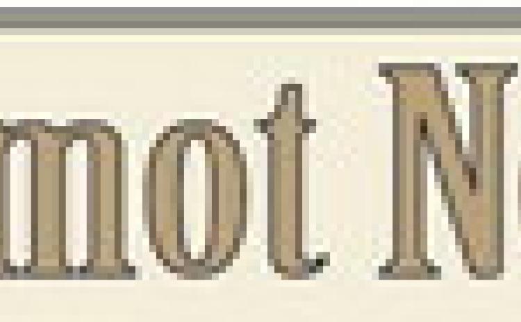 Alt Text for Image