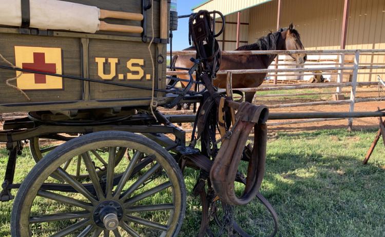 Ranchers head to roundup the old-fashioned way—by wagon