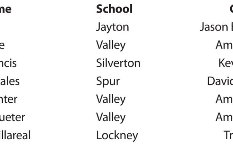 Coaches honors 4 from area schools
