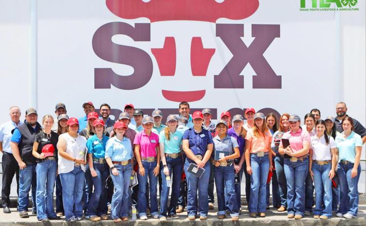 LIVESTOCK AMBASSADORS