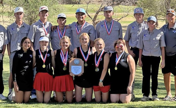 Valley golf teams advance to regionals