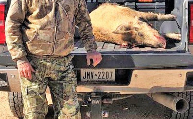 WILD HOGWINNER The winner of Star Feed and Seed’s Big Buck Contest, Wild Hog Division, is Preston Gilliam of Rhome, Texas, who won a monogrammed jacket. Gilliam’s hog weighed 225 pounds and was killed in Dickens County in mid-November 2022. | COURTESY PHOTO