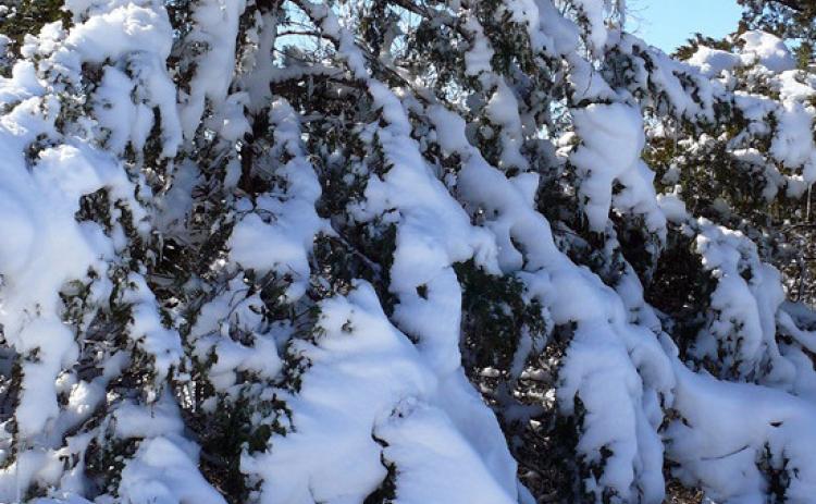 SPOTLIGHT ON SNOW DAY SUNDAY, CCSP IN SNOW