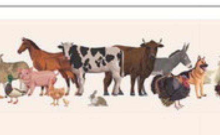 ANNUAL KING COUNTY LIVESTOCK SHOW