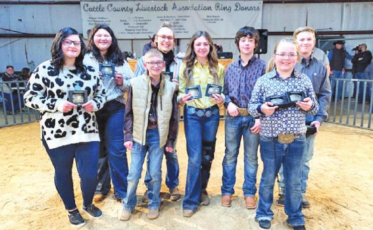 STOCK SHOWS
