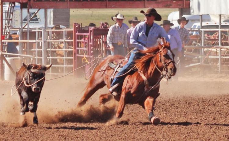 Hall County rancher stands 8th in the world in pro rodeo steer roping