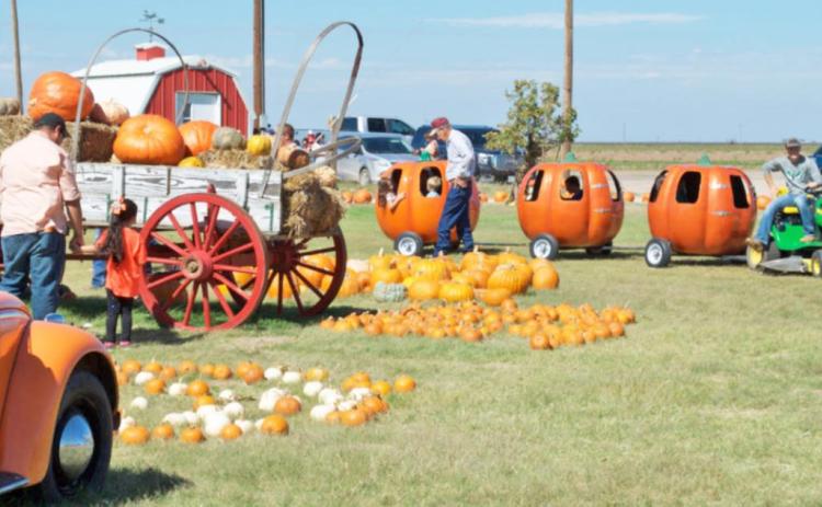 PUNKIN’ DAY 2021 Planning is underway for the 34th Annual Floydada Punkin’ Day in Floydada. Held the second Saturday in October, this year’s event is scheduled for October 9 and takes place simultaneously at the courthouse square downtown, along with additional festivities at the Assiter Punkin Ranch on the Ralls Highway. | COURTESY PHOTO