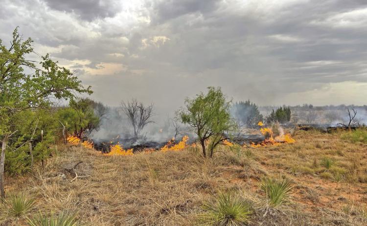 PADUCAH AREA FIRE Paducah firefighters last week contained a Grass fire at the intersectionof US 70 and CR 206. | COURTESY PHOTO