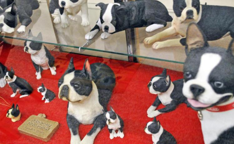 BOB HAMBRIGHT has been collecting memorabilia featuring Boston Terriers for years. His collection of thousands of items is on display at his Boston Terrier Museum at 206 W Houston Street in Floydada, in the former medical building. Call (806) 983-5010 to arrange a visit. | BARBARA BRANNON PHOTOS