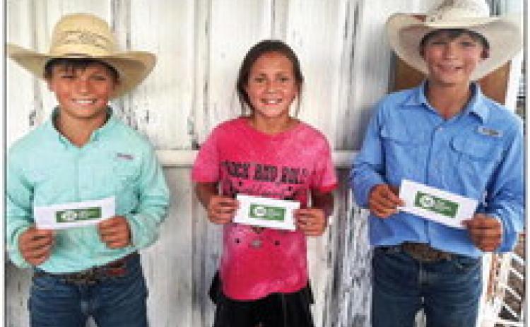 CALF SCRAMBLE WINNERS Last weekend was the 131st Annual Silverton Celebration Rodeo and Reunion. Shown are the Calf Scramble Winners. | COURTESY PHOTO